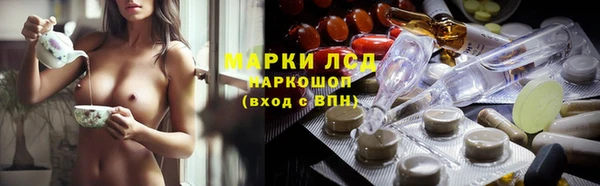СК Алексин