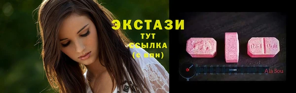 СК Алексин