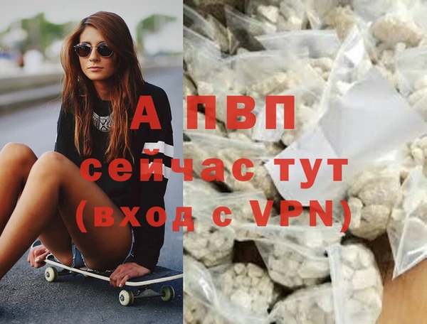 СК Алексин