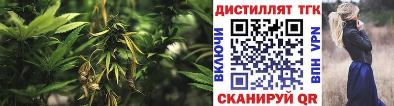 ТГК вейп  Купить где  Гагарин 